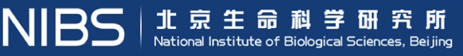 北京生命科学研究所