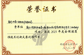 颠覆大赛优胜证书-2021